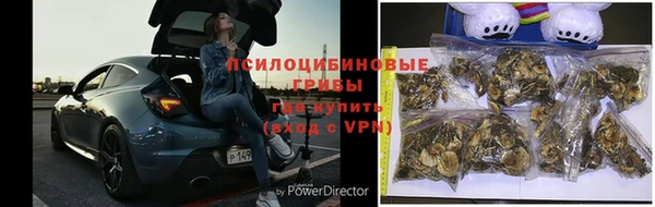 винт Чекалин