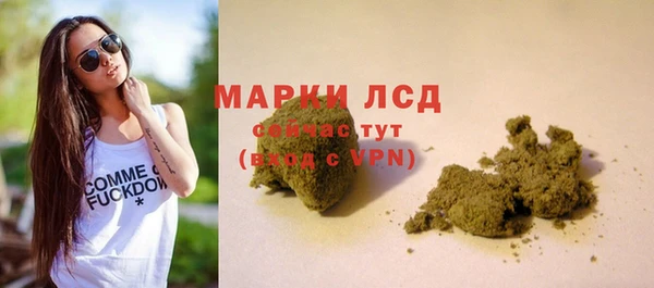трава Бородино