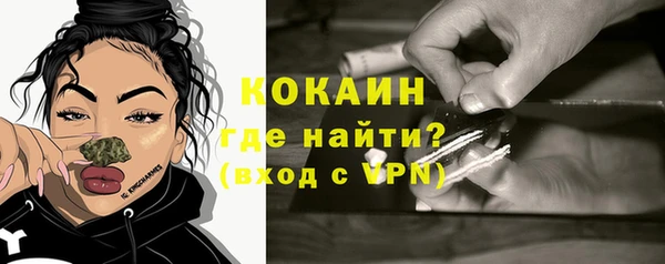 бошки Бронницы