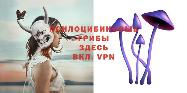 мяу мяу мука Баксан