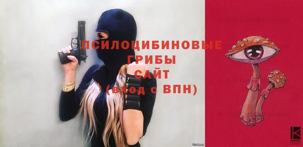 гашик Богородск