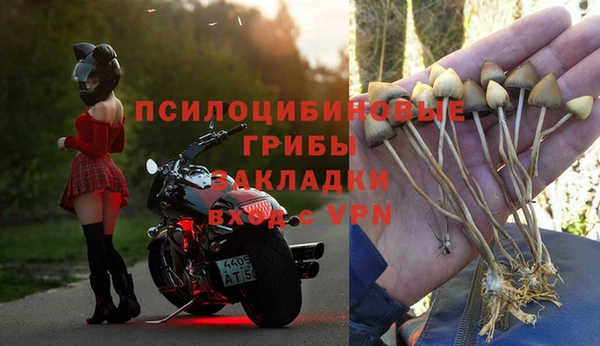 альфа пвп Богородицк