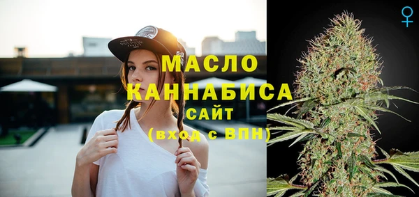 бошки Бронницы