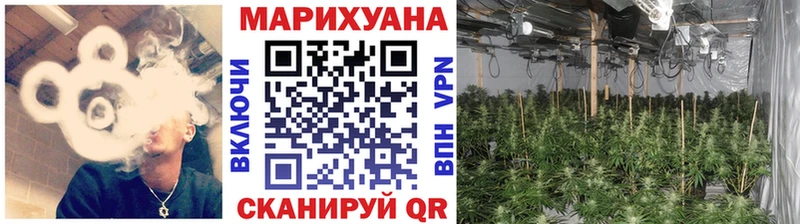 МАРИХУАНА Ganja  Афипский 
